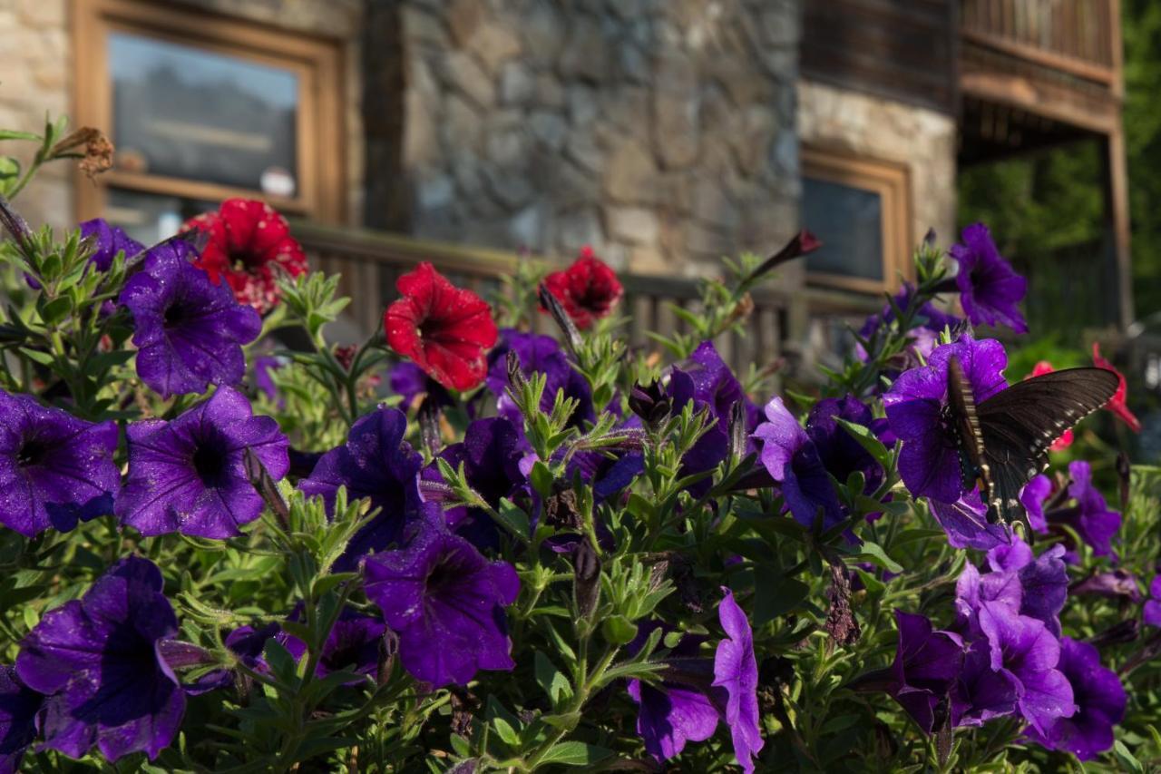 Spruce Pine Springmaid Mountainヴィラ エクステリア 写真